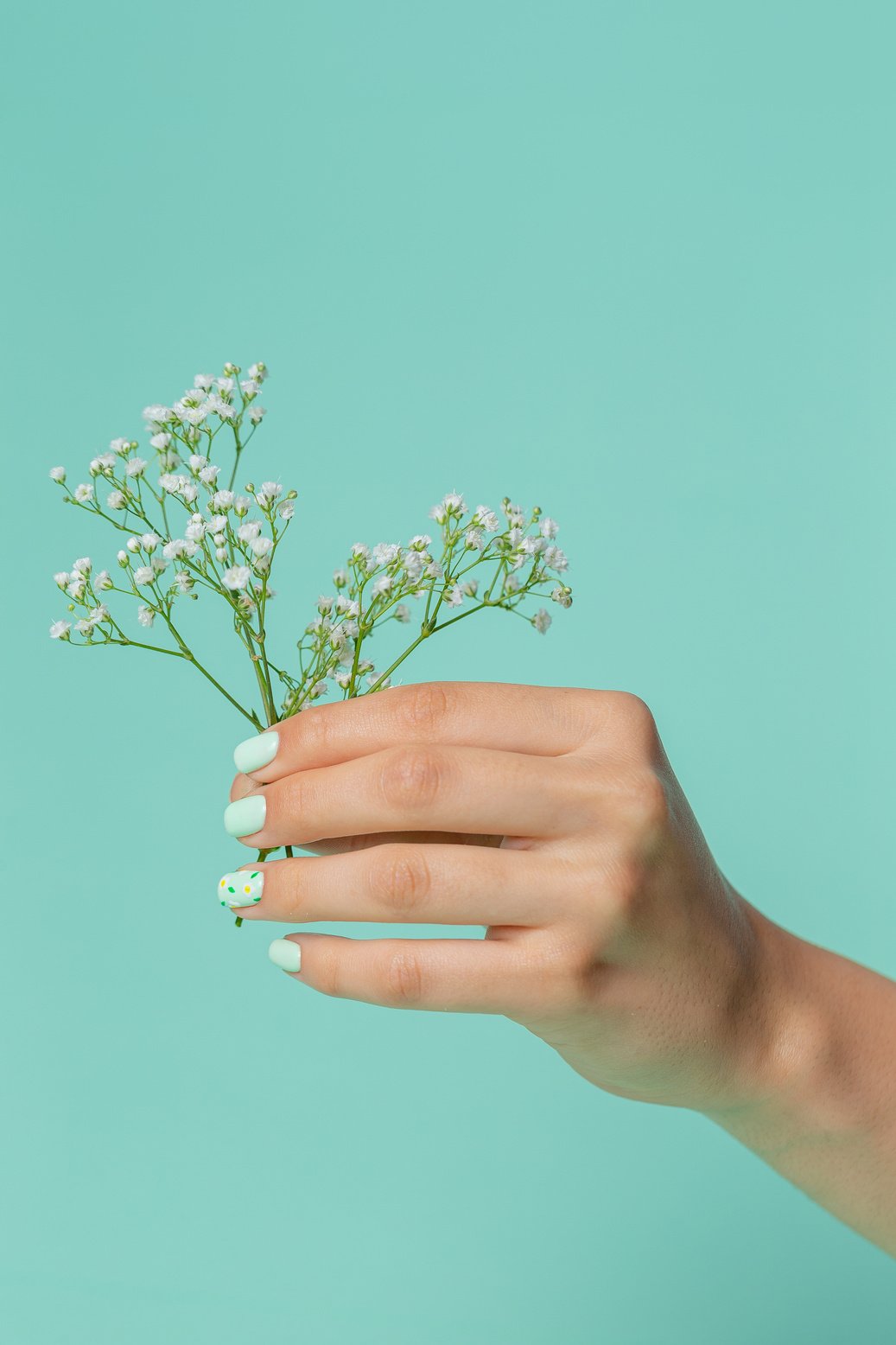 Hand Holding a Bunch of Flowers 